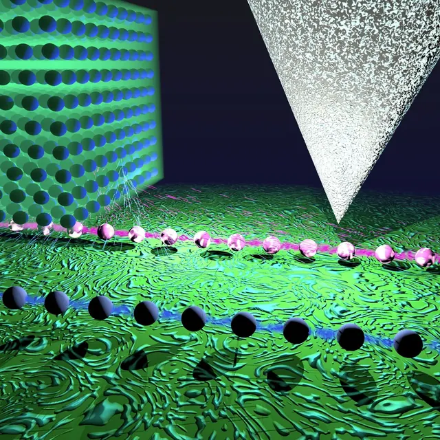 Transfer learning of many-body electronic correlation entropy from local measurements